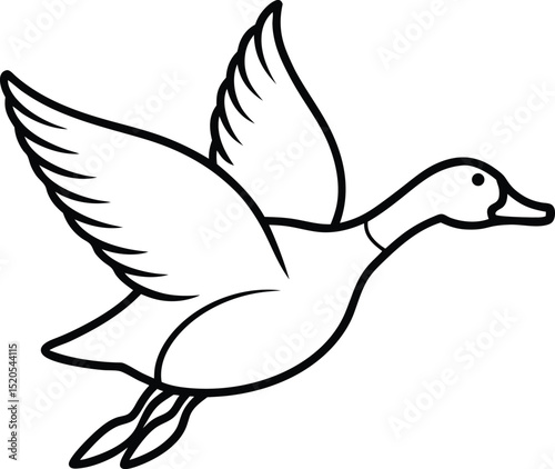 vector illustration of a duck