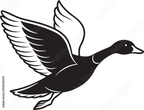 vector illustration of a duck