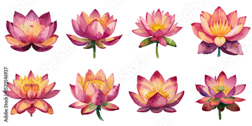 Multiple vector illustrations lotus flower, watercolor style
