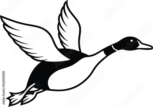 silhouette of a duck