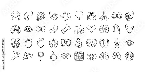 Human Organs Line Icon Set – Vector Pictograms with Transparent Background

