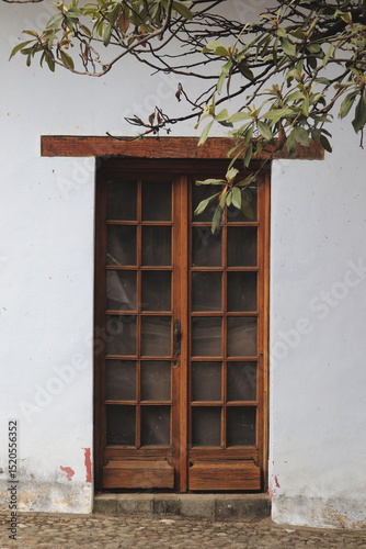 Puerta de madera y vidrios con árbol