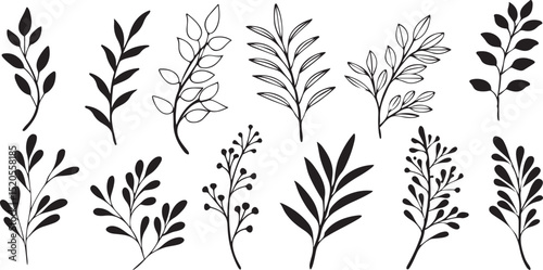  Twig and Leaf Set: Modern Black and White Art Elements for Digital Design and Print Applications.