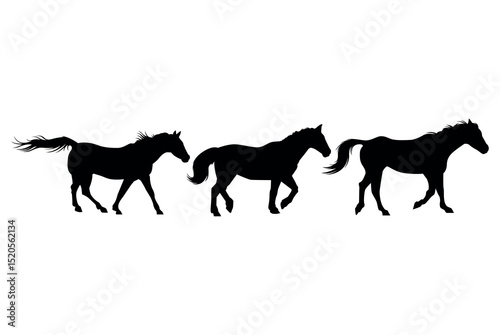 horse silhouettes on white background