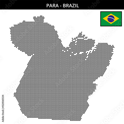 Small hexagonal dotted map of para in Brazil