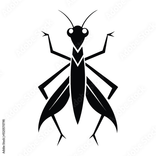 grasshopper on white background