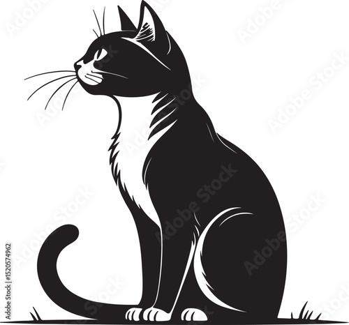 Black and white cat sitting profile illustration