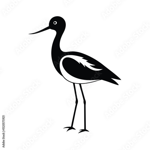 stork on a white background