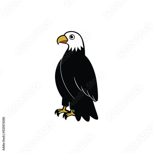 bald eagle isolated on white
