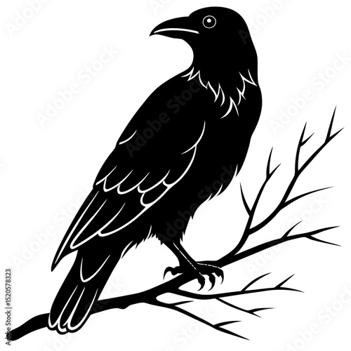 Raven Silhouette on Branch Dark Bird Perched in Tree Wildlife Illustration with Black Plumage and Gothic Aesthetic Vector Design