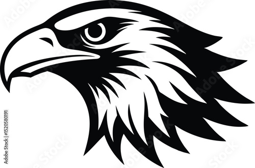 eagle head isolated vector
