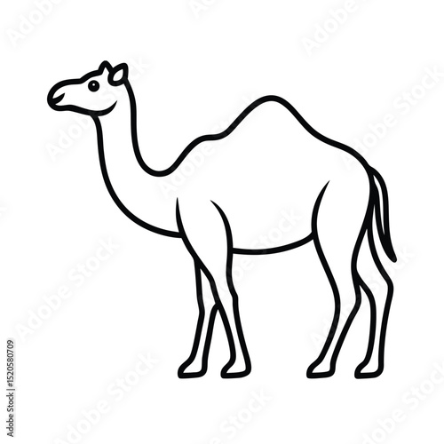 camel vector illustration