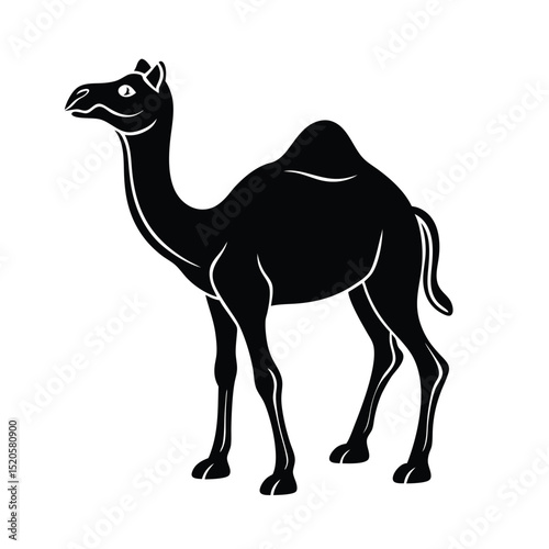 camel vector illustration