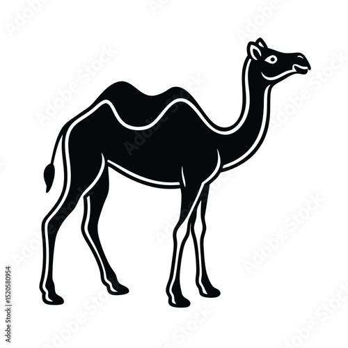 camel vector illustration