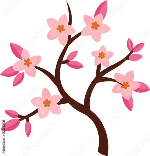 almond blossomvector on white background  .eps