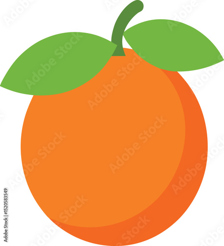 ambarella fruit  vector on white background   