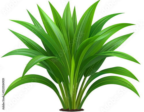 Lush, vibrant green foliage plant with long, slender leaves
