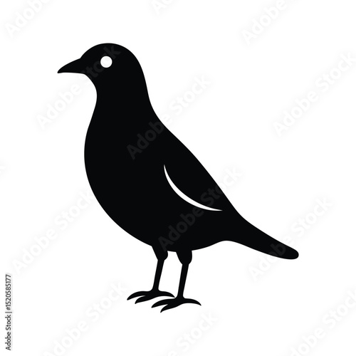 silhouette of a bird