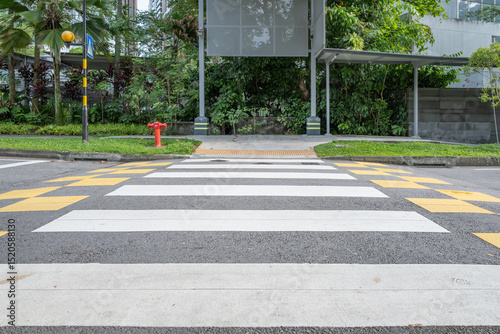 Zebra crossing on Orchard Road with lush greenery and urban backdrop