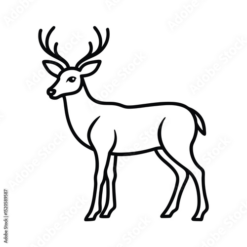 silhouette of deer