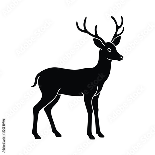 deer vector illustration