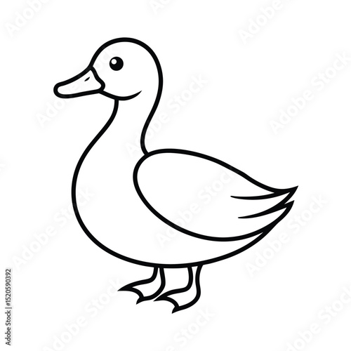 vector illustration of a duck