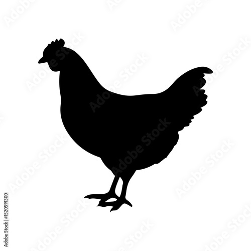 Hen silhouette icon vector flat design on white background