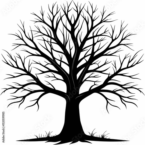 Silhouette of a bare tree stark and minimalist perfect for nature themed designs representing winter death or the beauty of