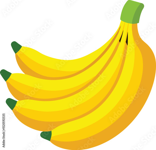 banana bunch  vector illustration on white 