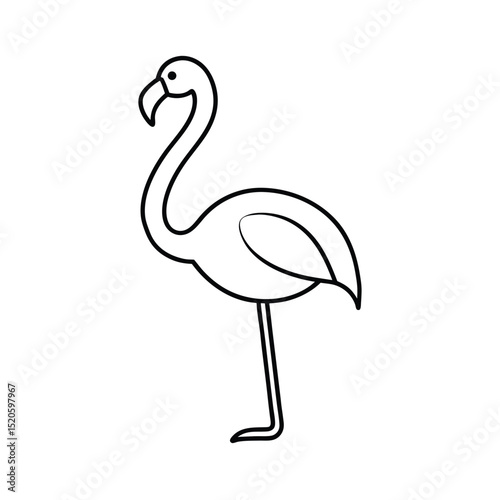 flamingo vector illustration