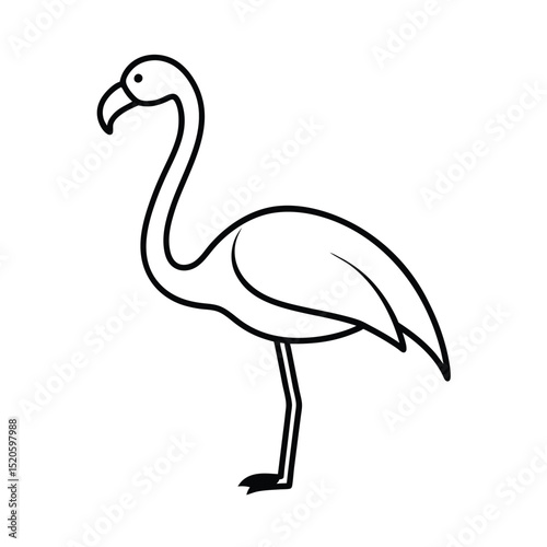 vector illustration of a flamingo