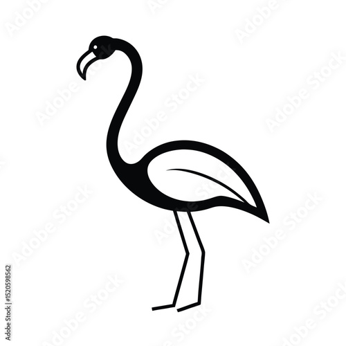 vector illustration of a flamingo