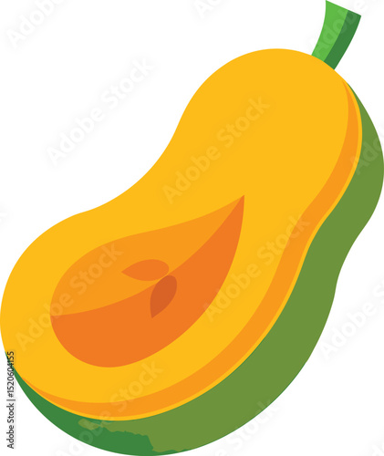 butternut squash slice vector on white background .eps