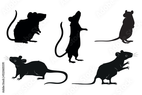 A silhouette of a mouse in various poses