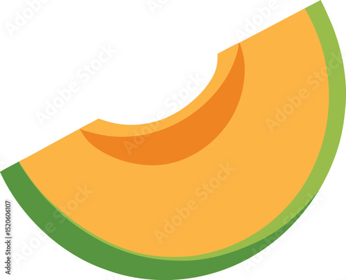cantaloupe slice  vector illustration on white 