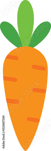 carrot top  vector on white background  .eps