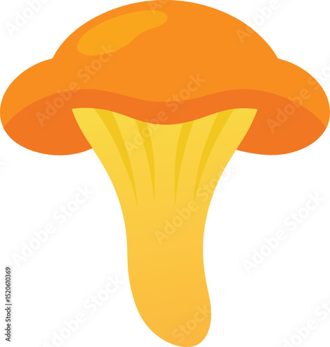 chanterelle mushroom  vector illustration on white