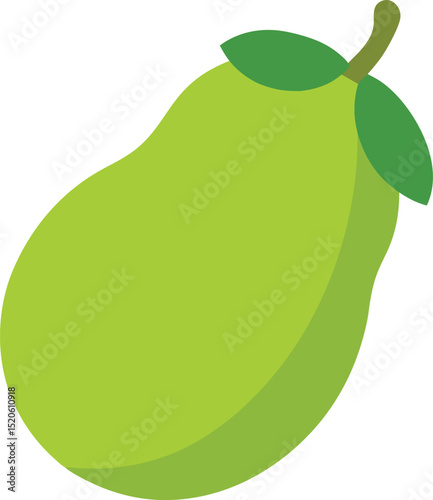 chayote squash vector on white background