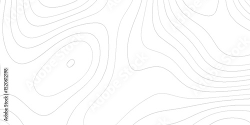 Abstract topography contour lines modern elevation map pattern minimal geographic landscape background creative terrain texture decorative earth layers mapping design for posters prints wallpapers.