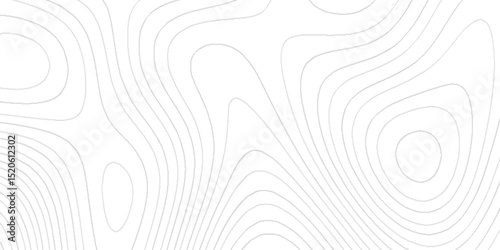 Abstract topography contour lines modern elevation map pattern minimal geographic landscape background creative terrain texture decorative earth layers mapping design for posters prints wallpapers.