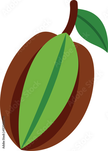 cocoa bean vector on white background  .eps