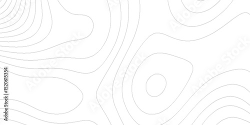 Topography texture with intricate contour lines elevation patterns abstract terrain shapes geographic mapping details mountain ridges valley curves landscape design elements and artistic background.