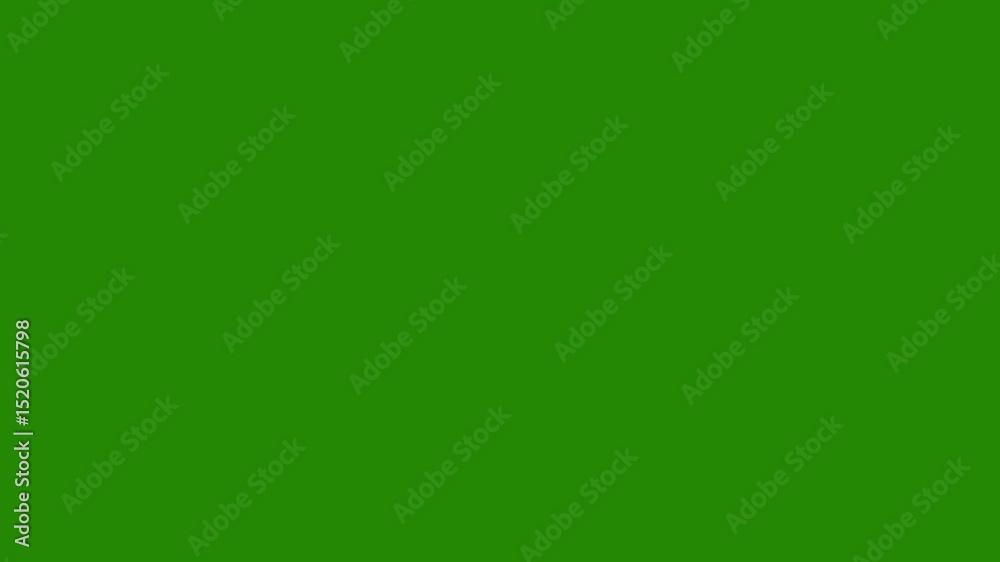 Circular line burst with White spark effects. White circular burst firework animation with smooth glowing rings. 4K green screen background.