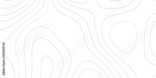 Topography texture with intricate contour lines elevation patterns abstract terrain shapes geographic mapping details mountain ridges valley curves landscape design elements and artistic background.
