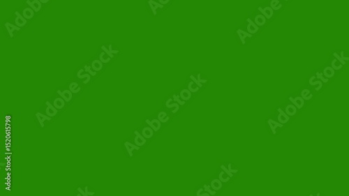 Circular line burst with White spark effects. White circular burst firework animation with smooth glowing rings. 4K green screen background.