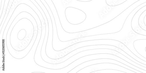 Minimal Abstract Topography Pattern Modern Design in Detailed Terrain Elevation Map with Gradient Relief Organic Wavy Contour Lines Creating with Artistic Landscape Colorful 3D Topographic Map.