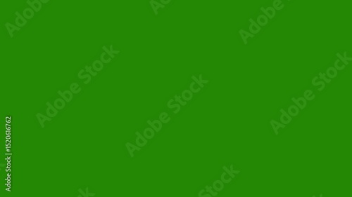 Animated circle burst style with sparks. circular fireworks blast animation with light sparkles. 4K with transparent Green Screen background videos.