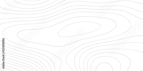 Topography texture with intricate contour lines elevation patterns abstract terrain shapes geographic mapping details mountain ridges valley curves landscape design elements and artistic background.