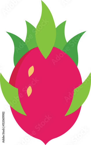 dragon fruit vector on white background  .eps