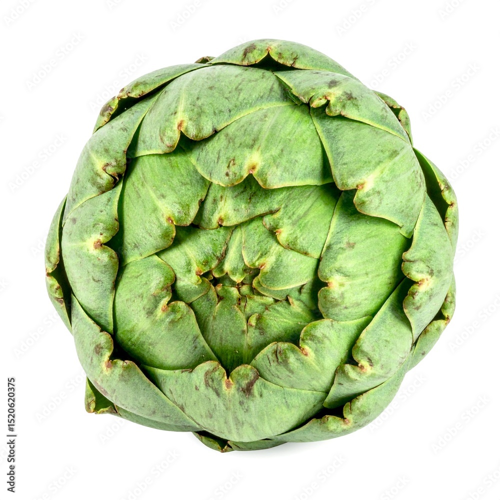 Obraz premium Artichokes on Isolated White Background – Globe Artichoke with Layered Leaves and Natural Macro Detail